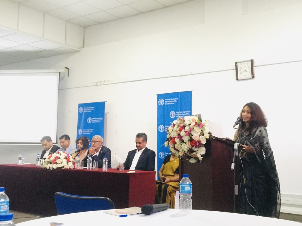 Celebrating World Food Day 2024: A Landmark Awareness Event on the Right to Safe Food